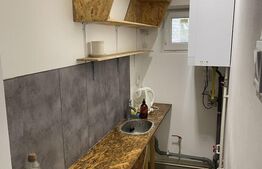 Spatiu pentru birou, 60mp, curte 319mp, zona NTT Data