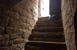 Spatiu pentru birou, 60mp, curte 319mp, zona NTT Data