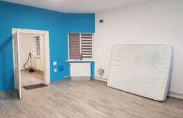 Spatiu pentru birou, 60mp, curte 319mp, zona NTT Data