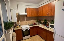 Garsoniera semidecomandata, 33 mp, zona Observator