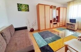 Garsoniera semidecomandata, 33 mp, zona Observator