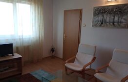 Garsoniera semidecomandata, 33 mp, zona Observator