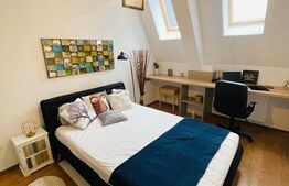 Apartament 2 camere, 48mp, lux, prima inchiriere, zona Cetatii 