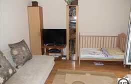 Vanzare 1 camera, decomandat, 38 mp utili, garaj, zona Vila Rosa!