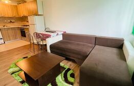 Casa individuala, 50mp, 2 parcari, gradina, zona Avram Iancu 