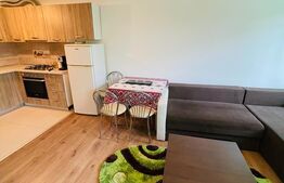 Casa individuala, 50mp, 2 parcari, gradina, zona Avram Iancu 