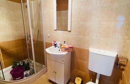 Spatiu comercial cu potential, 44mp, zona Eroilor