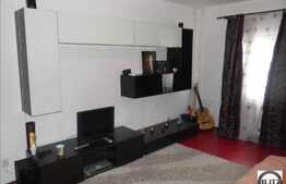 Apartament de vanzare, 1 camera, etaj intermediar, zona Napolact!