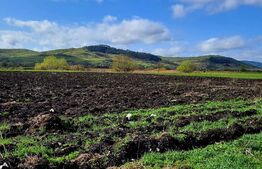 Teren intravilan 18000mp, cu destinatie multipla situat in Gherla