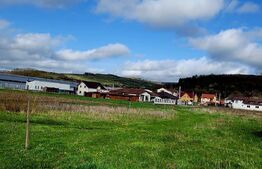 Teren intravilan 18000mp, cu destinatie multipla situat in Gherla