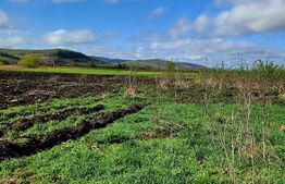 Teren intravilan 18000mp, cu destinatie multipla situat in Gherla