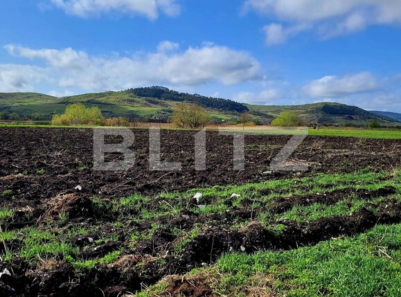 Teren de vânzare Exterior Est - 103438TV | BLITZ Cluj-Napoca | Poza5