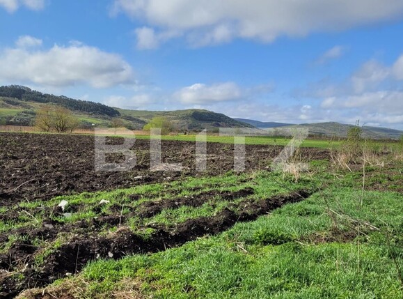Teren de vânzare Exterior Est - 103438TV | BLITZ Cluj-Napoca | Poza7