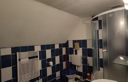 Oportunitate ! Casa individuala 210 mp, teren 700 mp, Someseni 