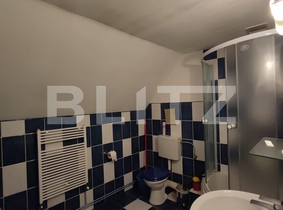 Casa de vânzare 7 camere Someseni - 103462CV | BLITZ Cluj-Napoca | Poza20
