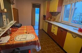 Casa de vanzare, 80 mp, teren 760 mp, zona Corneliu Coposu