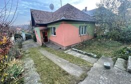 Casa de vanzare, 80 mp, teren 760 mp, zona Corneliu Coposu