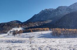 Teren intravilan cu priveliste superba, 3103 mp, PUZ, Plaiul Foii Zarnesti