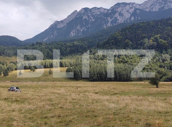 Teren de vânzare Zarnesti - 103550TV | BLITZ Brașov | Poza1