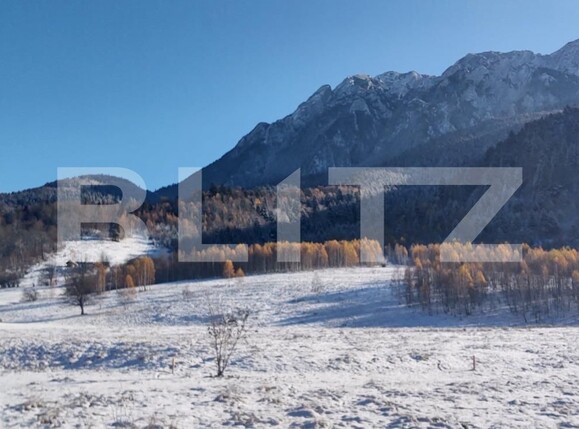 Teren de vânzare Zarnesti - 103550TV | BLITZ Brașov | Poza6