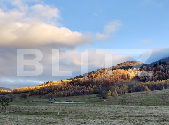 Teren de vânzare Zarnesti - 103550TV | BLITZ Brașov | Poza2