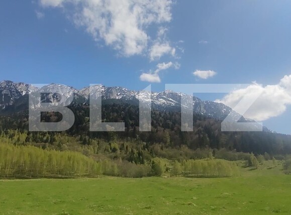 Teren de vânzare Zarnesti - 103550TV | BLITZ Brașov | Poza3