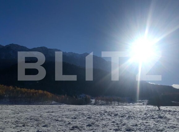 Teren de vânzare Zarnesti - 103550TV | BLITZ Brașov | Poza5