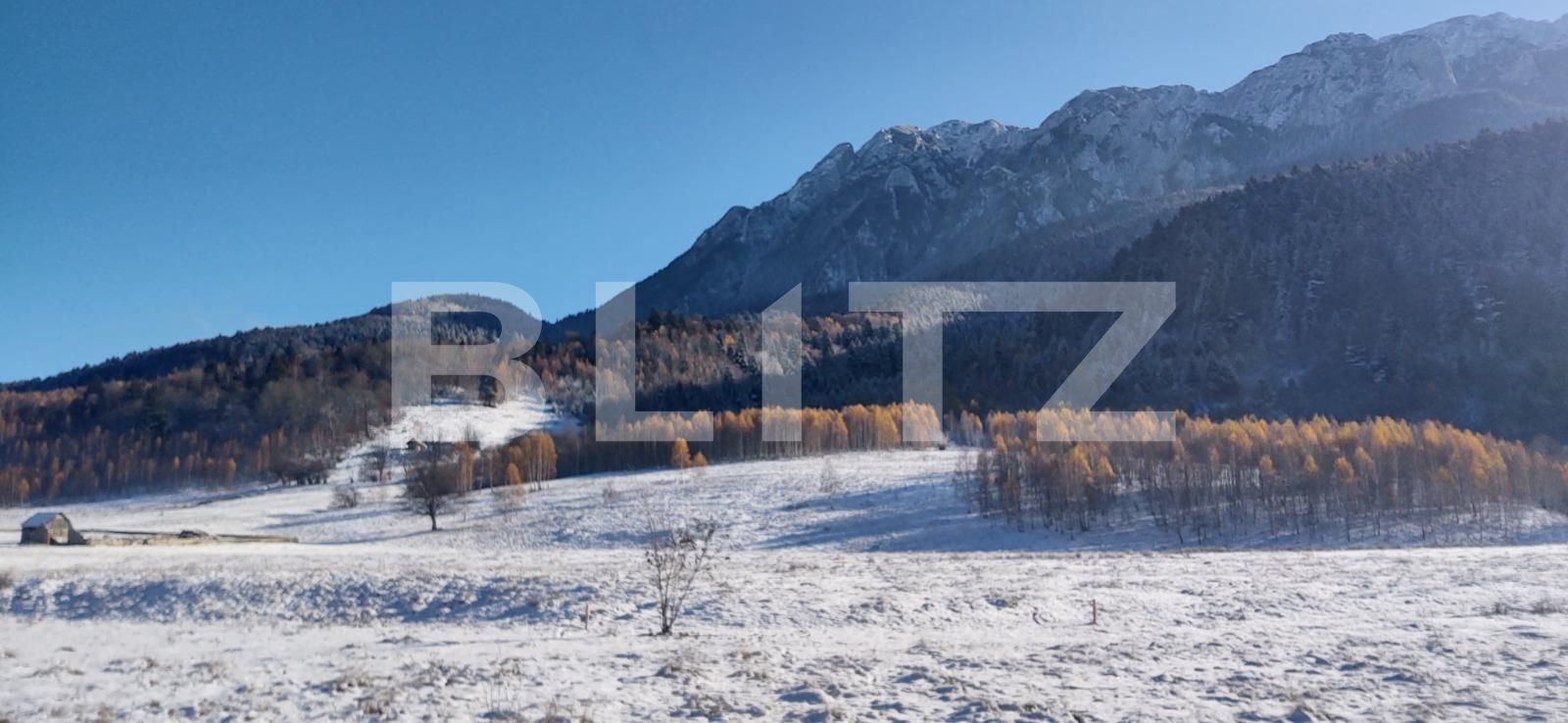 Teren de vânzare Zarnesti - 103550TV | BLITZ Brașov | Poza6