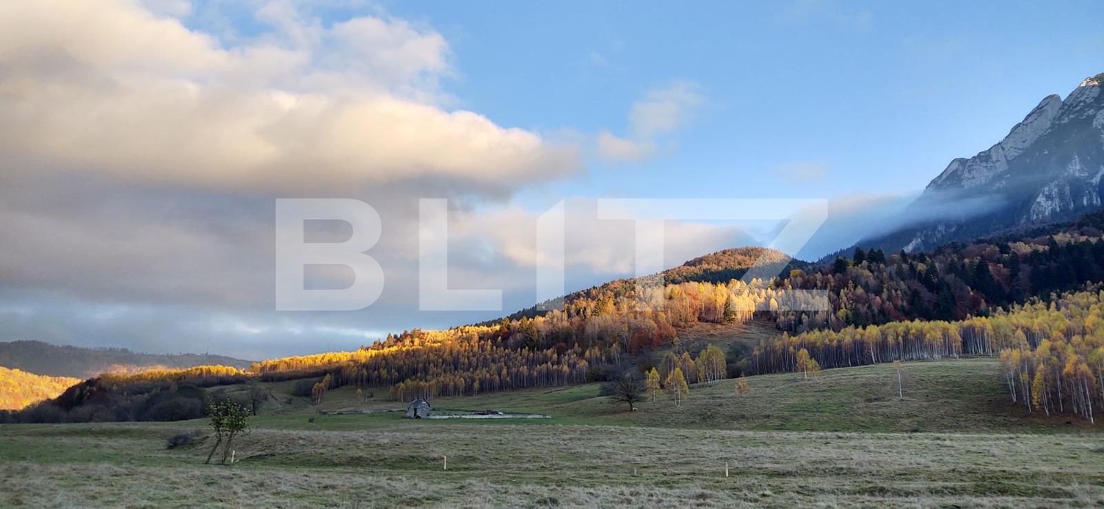 Teren de vânzare Zarnesti - 103550TV | BLITZ Brașov | Poza2