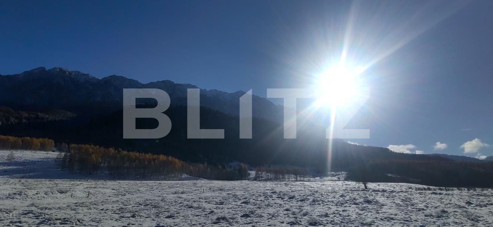 Teren de vânzare Zarnesti - 103550TV | BLITZ Brașov | Poza5