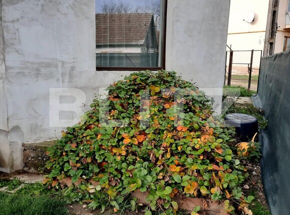 Casa de vânzare 3 camere Exterior Est - 103771CV | BLITZ Cluj-Napoca | Poza7