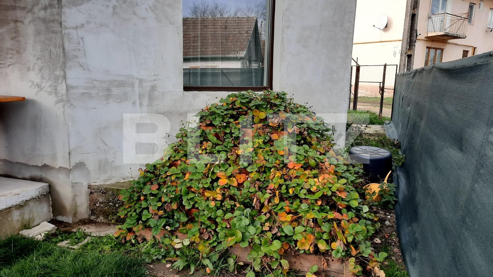 Casa de vânzare 3 camere Exterior Est - 103771CV | BLITZ Cluj-Napoca | Poza7