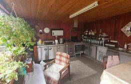 Duplex cu 4 camere, 120 mp utili, garaj, 250 mp de teren, zona Tauti