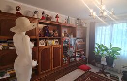 Duplex cu 4 camere, 120 mp utili, garaj, 250 mp de teren, zona Tauti