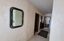 Casa 4 camere, 2 bai, 100 mp, teren 500 mp, zona Vivo