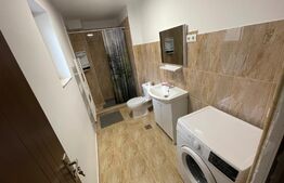 Garsoniera, 35 mp, parcare, curte, zona străzii Arad