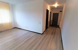 Apartament 1 camera, 37 mp, decomandat, zona Teilor