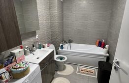 Apartament spatios, 1 camera, 40mp, balcon, zona Eroilr