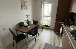 Apartament spatios, 1 camera, 40mp, balcon, zona Eroilr