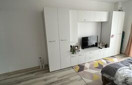 Apartament spatios, 1 camera, 40mp, balcon, zona Eroilr