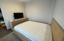 Garsoniera, nisa de dormit, 40 mp, parcare, dressing, zona Calea Turzii 