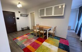 Garsoniera, nisa de dormit, 40 mp, parcare, dressing, zona Calea Turzii 