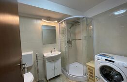 Investitie! Apartament 55mp, terasa 22mp plus spatiu comercial 55mp in zona Piata 1 Mai