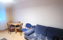 Garsonieră 20 mp, orientare sudică, etaj intermediar, Gruia