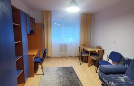 Garsonieră 20 mp, orientare sudică, etaj intermediar, Gruia