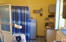 Apartament 2 camere, 34 mp, zona 13 Decembrie-Garii