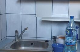 Apartament 2 camere, 34 mp, zona 13 Decembrie-Garii