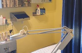 Apartament 2 camere, 34 mp, zona 13 Decembrie-Garii