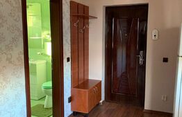 Apartament 1 cameră, ideal investiție/spațiu birou, 52 mp, Bună Ziua