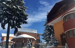 Complex turistic cu randament de 12.5%, 4000 mp, 45000 mp teren, piscina, baza sportiva, Fundata